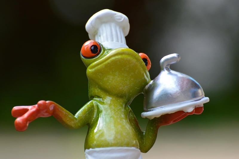 Gourmet Cuisine