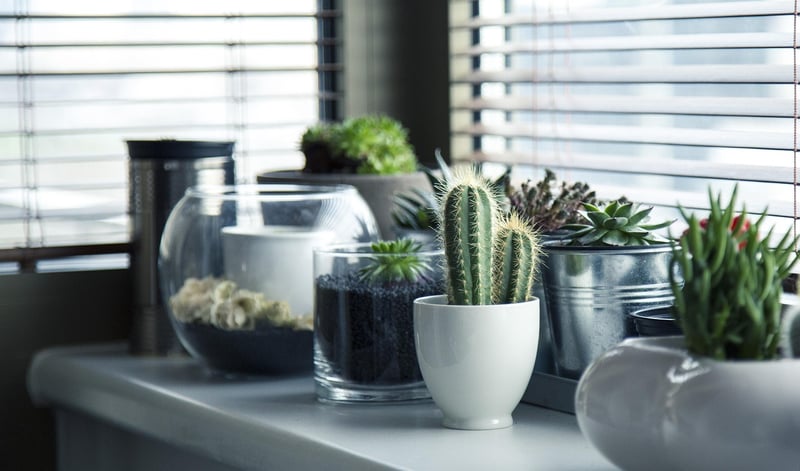 Customized Planters